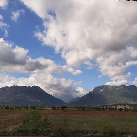 Αρχοντικό Παπανικολάου Villa Ligaria  Dış mekan fotoğraf