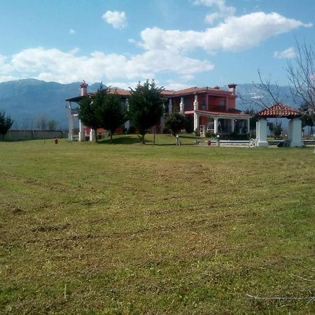 Αρχοντικό Παπανικολάου Villa Ligaria  Dış mekan fotoğraf