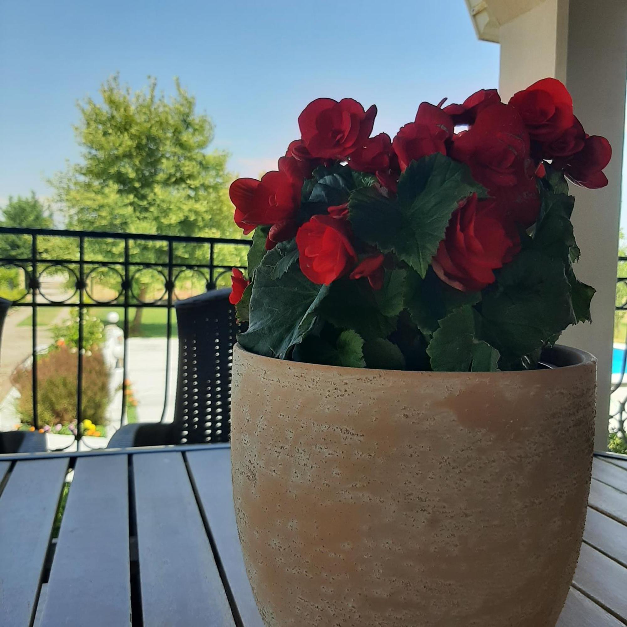 Αρχοντικό Παπανικολάου Villa Ligaria  Dış mekan fotoğraf