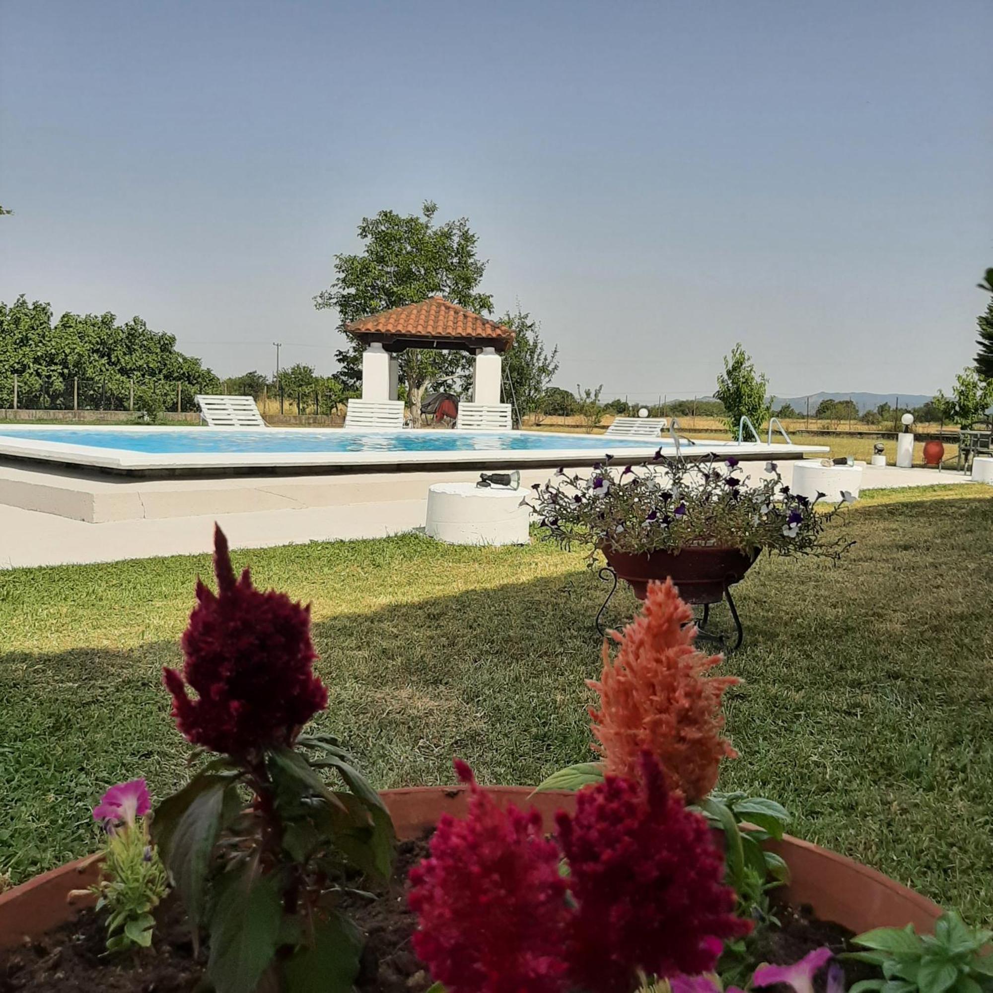 Αρχοντικό Παπανικολάου Villa Ligaria  Dış mekan fotoğraf